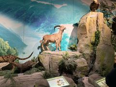 -重庆中国三峡博物馆(重庆博物馆)