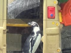 -合肥海洋世界