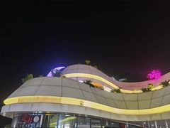 -野狸岛