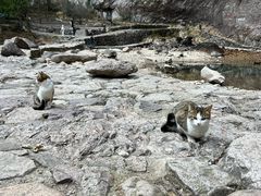 -雁荡山大龙湫景区