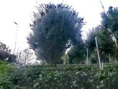 -英西峰林·洞天仙境