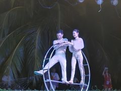 -渔家火锅·海鲜自助餐·演艺(亚龙湾天域酒店)