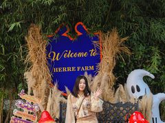 -HERRE·FARM 赫尔露营农场·团建聚会包场