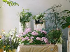 -花十悦·鲜花咖啡餐厅(振业城一期店)