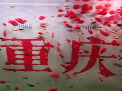 -重庆欢乐海底世界
