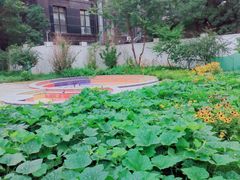 -恩卓国际幼儿园(兆丰校区)