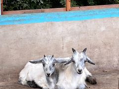 -华谊兄弟（长沙）电影小镇