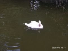 -昆明动物园