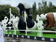 -西安秦岭野生动物园