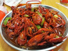 -杨氏青龙虾·羊蝎子(托乐嘉店)