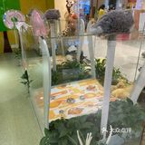 给宝宝一个有趣的游泳体验！