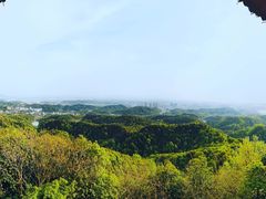 -云碧峰国家森林公园
