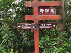-野狸岛