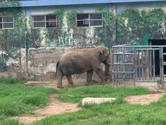 -西安秦岭野生动物园