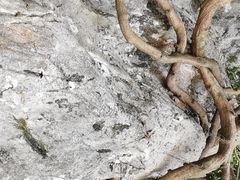 -杭州西湖风景名胜区-三生石
