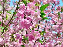 -郑州中国绿化博览园