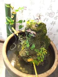 -尚玲纹绣纹眉特价店