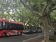 -一尺花园(安和花园店)