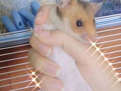 -雨林宠物医院 非犬猫异宠专科