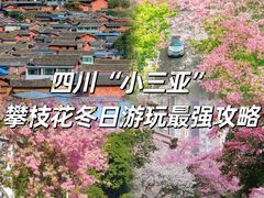 -攀枝花公园