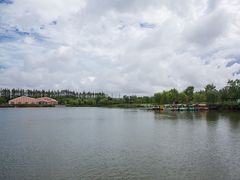 -上海长兴岛郊野公园