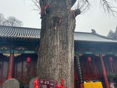 -青檀寺景区
