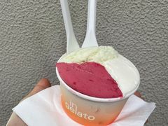 栀子花garfenia-Dip in Gelato(富民路店)