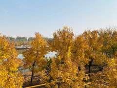 -东郊湿地公园