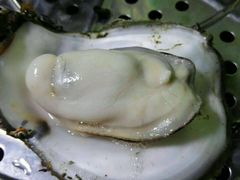 -大富蚝乌东哥饭店·石锅鱼杂·柠檬鸭(革新路店)