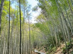 -黄山翡翠谷景区
