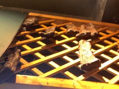 -米氏火鱼·泡椒鱼火锅(李子坝老店)