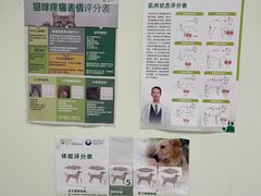 -艾吉宠物医院·疑难杂症转诊中心·猫友好(碧江路院)