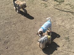 -小意思咖啡店(草桥店)