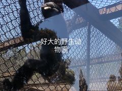 -云南野生动物园