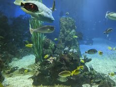 -大连老虎滩海洋公园