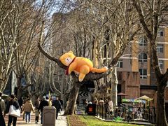 -西安电影制片厂