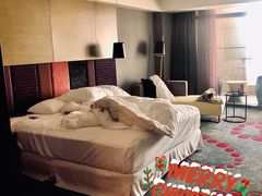 -南京禄口机场雅高铂尔曼大酒店