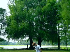 -南宁良凤江国家森林公园