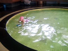 -BK博·康健身(金地格林小镇店)