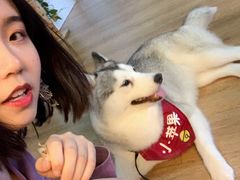 -Husky Go! 哈士奇体验馆·宠物咖啡厅狗咖