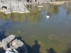 -千岛湖石林