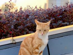 -UNIUNI(凯瑟琳广场店)