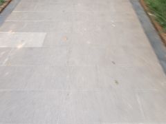 -巢爷老味(东方红店)