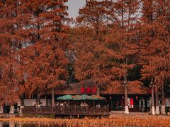 -东湖生态旅游风景区