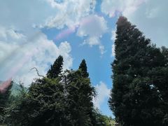 -武陵山森林公园