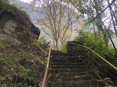 -青城山
