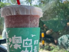 -南澳岛打卡果汁冰公司