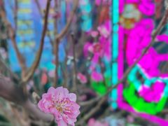 -永汉电影院(北京路总店)