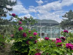 -国家植物园南园