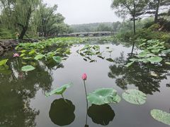 -承德避暑山庄景区